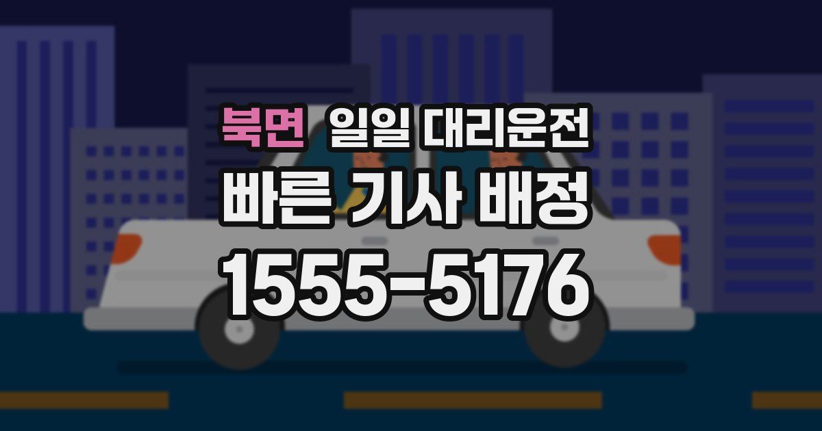 북면 일일 대리운전