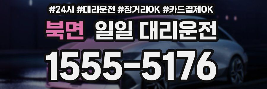 북면 일일 대리운전
