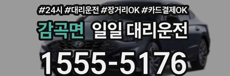 감곡면 일일 대리운전