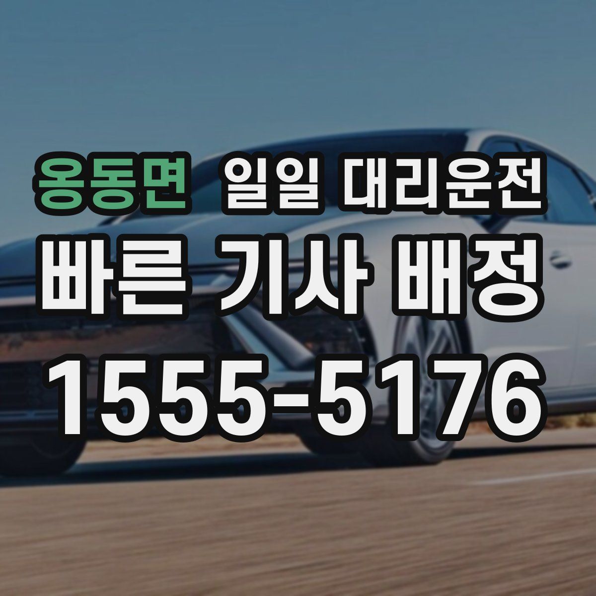 옹동면 일일 대리운전
