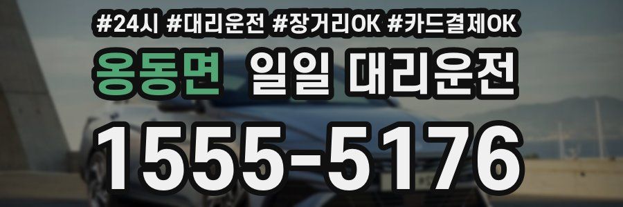 옹동면 일일 대리운전