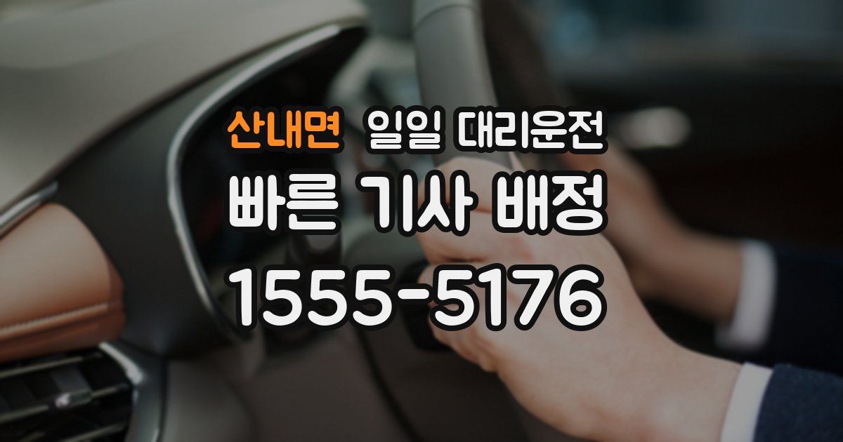 산내면 일일 대리운전