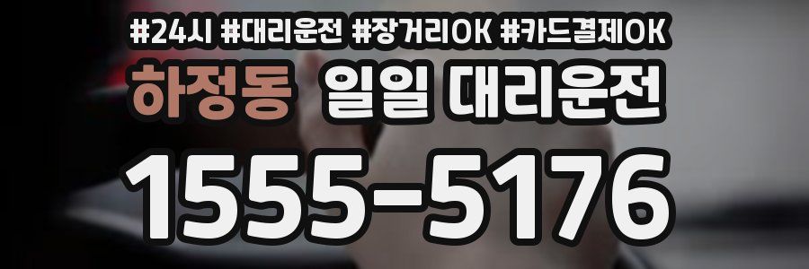 하정동 일일 대리운전