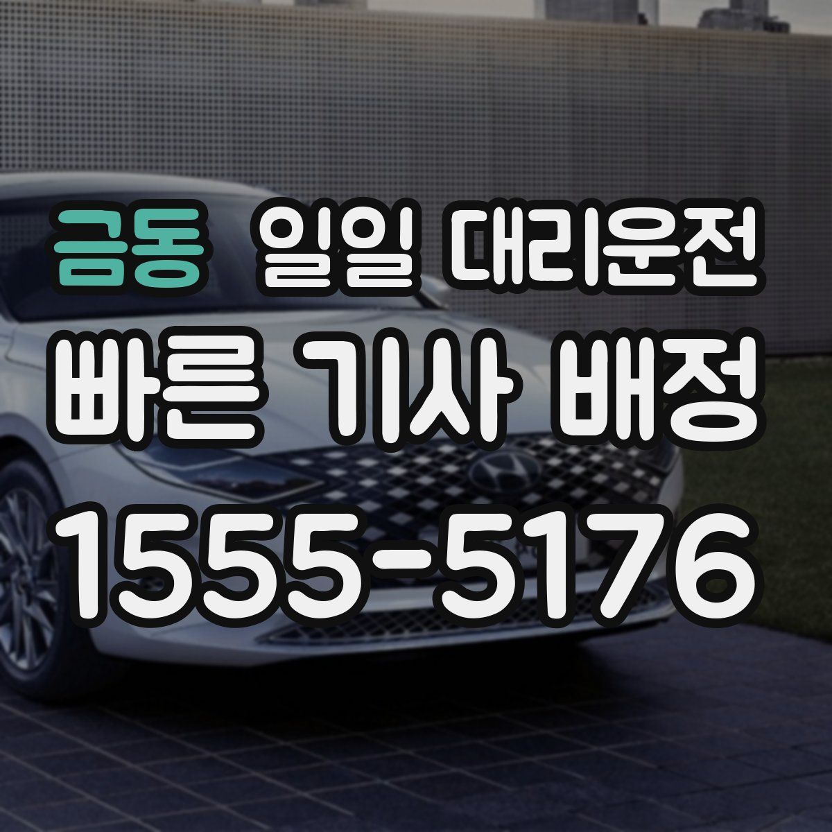 금동 일일 대리운전