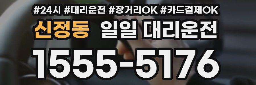 신정동 일일 대리운전