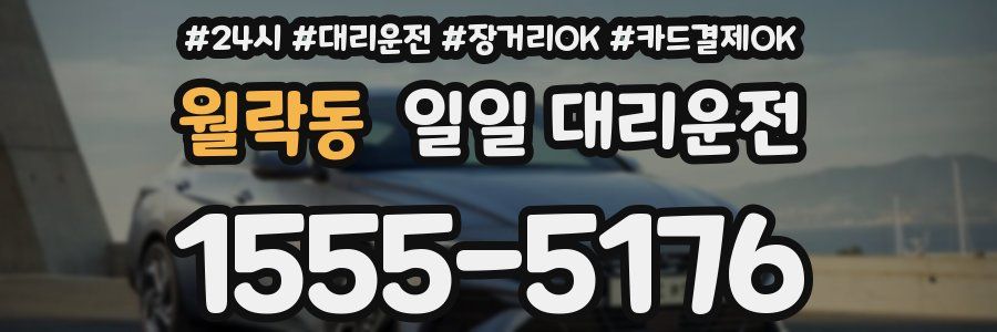 월락동 일일 대리운전
