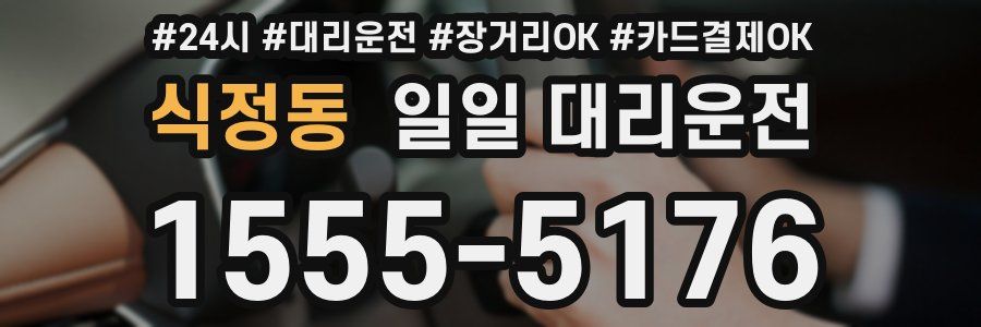 식정동 일일 대리운전