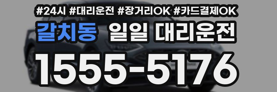 갈치동 일일 대리운전