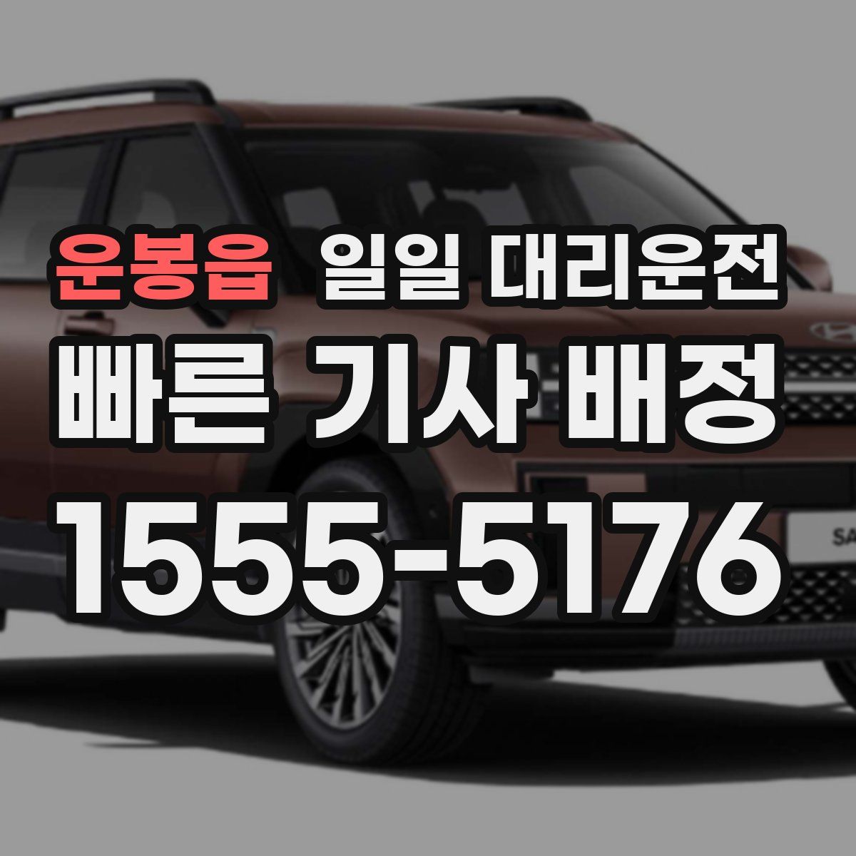 운봉읍 일일 대리운전