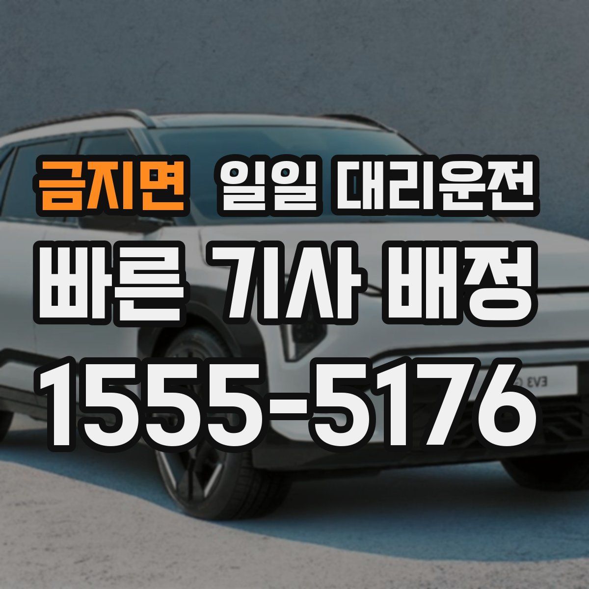 금지면 일일 대리운전