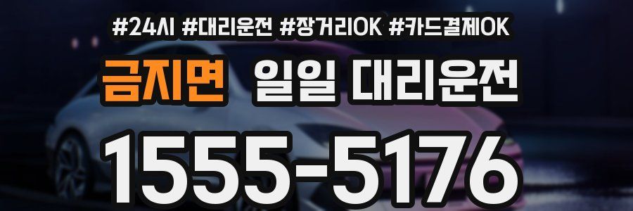 금지면 일일 대리운전