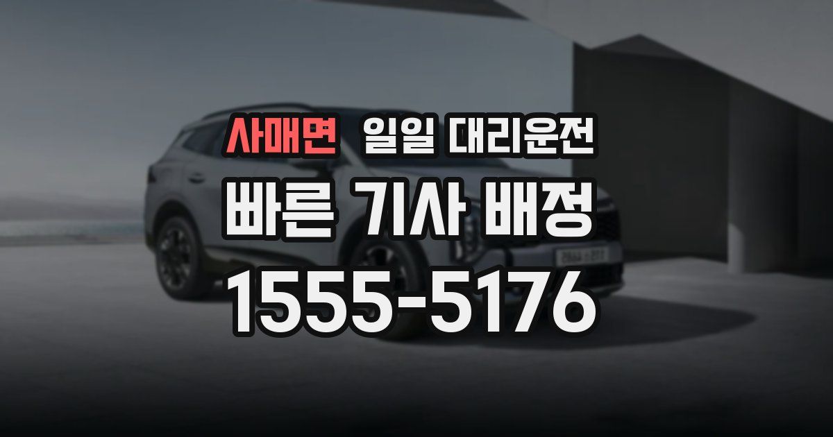 사매면 일일 대리운전