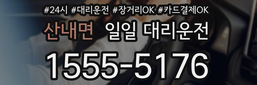 산내면 일일 대리운전