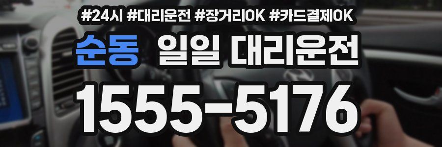 순동 일일 대리운전