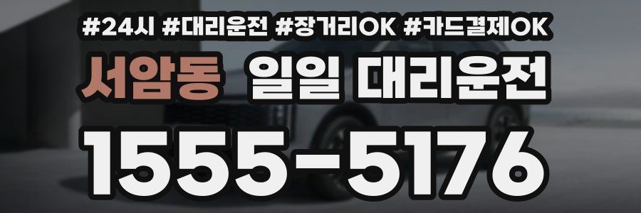 서암동 일일 대리운전