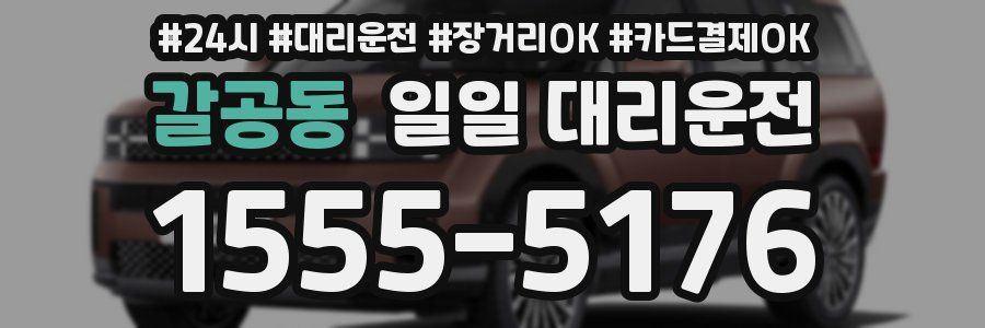 갈공동 일일 대리운전