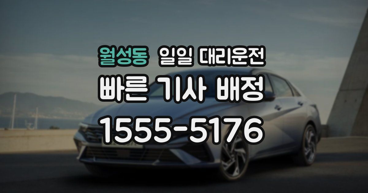 월성동 일일 대리운전