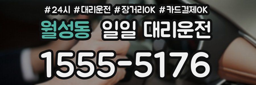 월성동 일일 대리운전