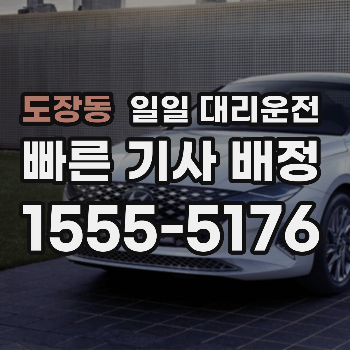 도장동 일일 대리운전
