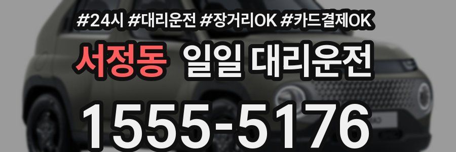 서정동 일일 대리운전