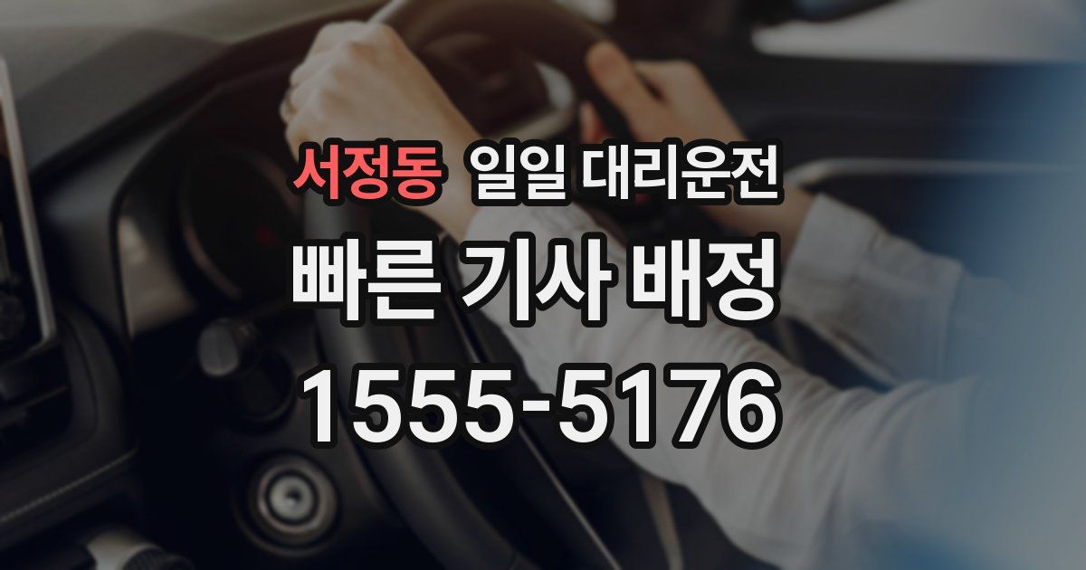 서정동 일일 대리운전
