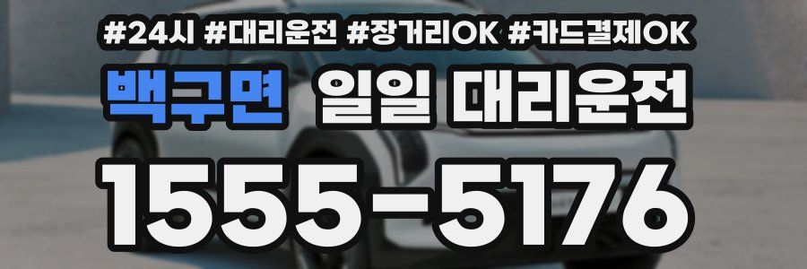 백구면 일일 대리운전