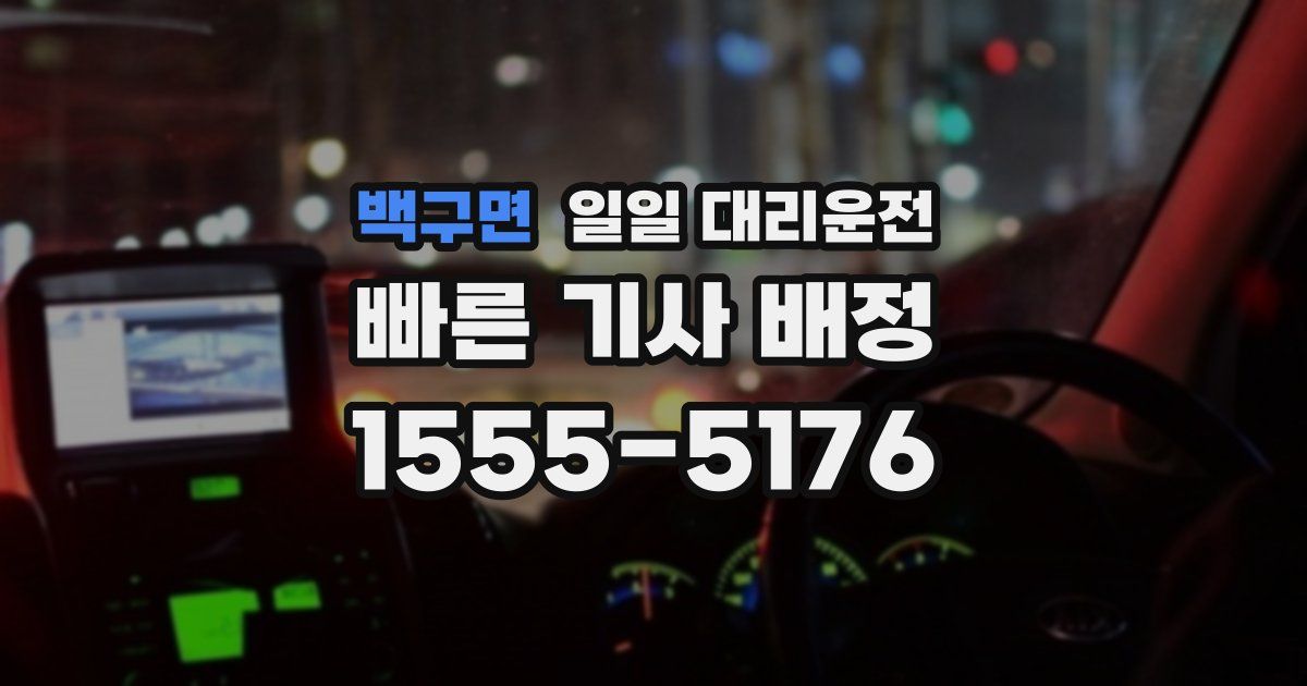 백구면 일일 대리운전