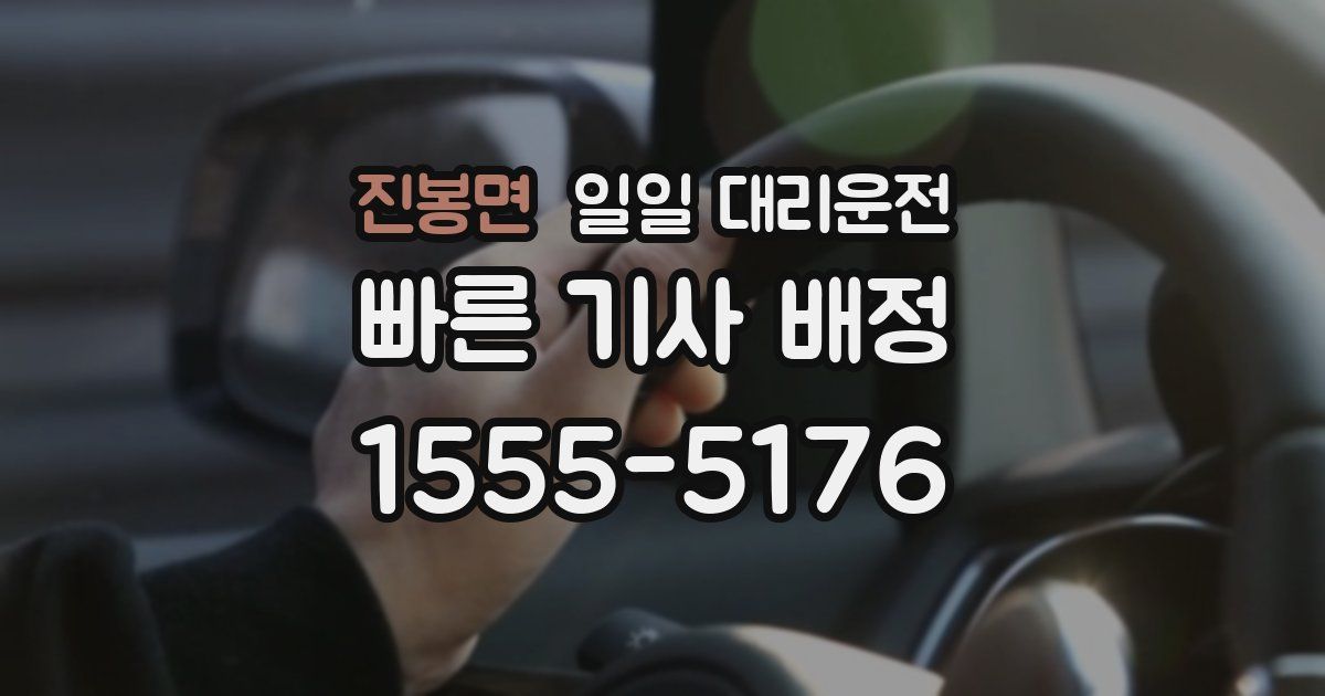 진봉면 일일 대리운전
