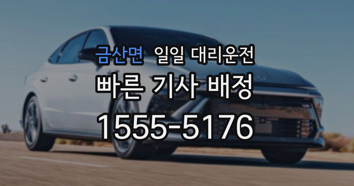 금산면 일일 대리운전