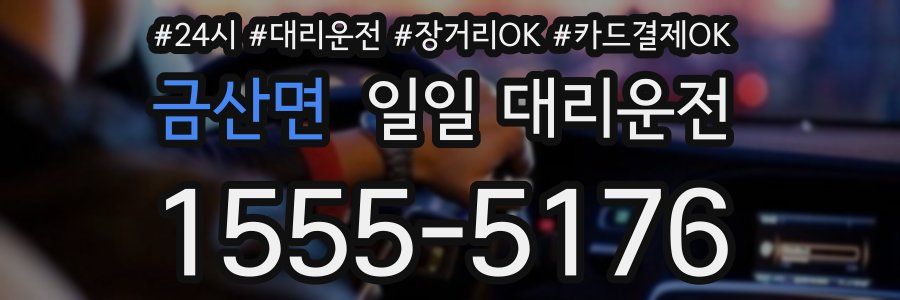 금산면 일일 대리운전