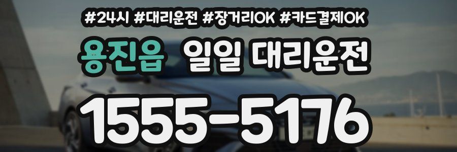 용진읍 일일 대리운전