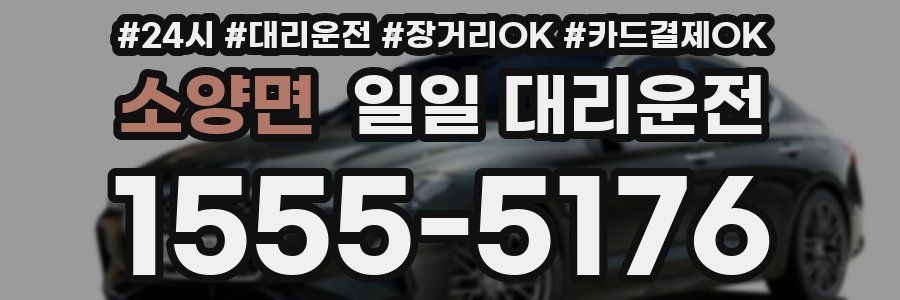소양면 일일 대리운전