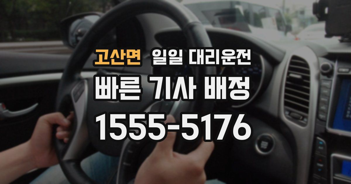 고산면 일일 대리운전