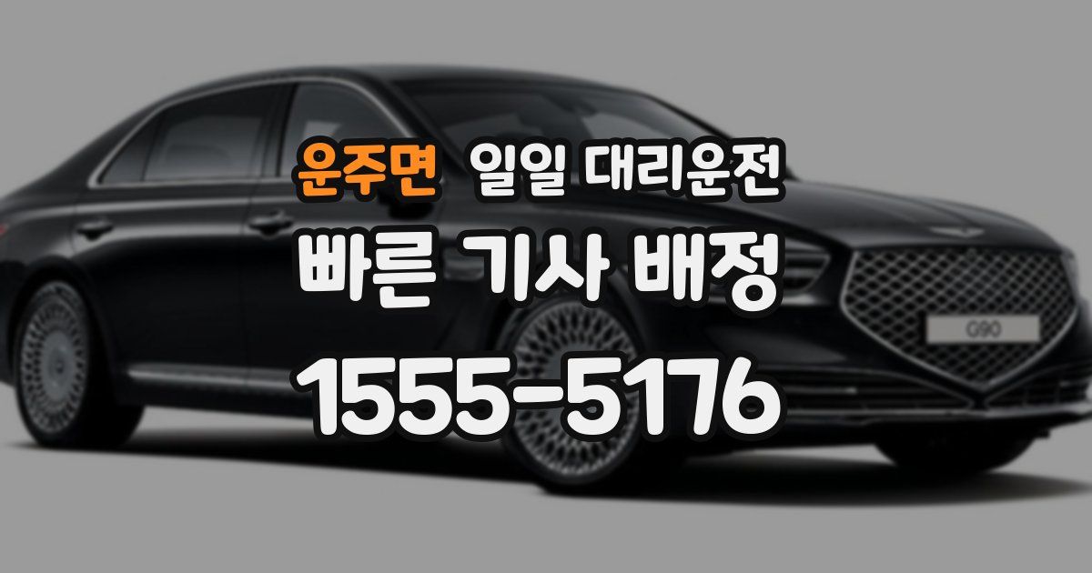 운주면 일일 대리운전
