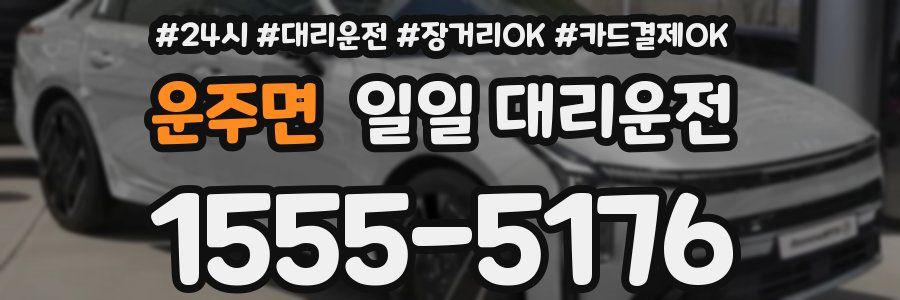 운주면 일일 대리운전