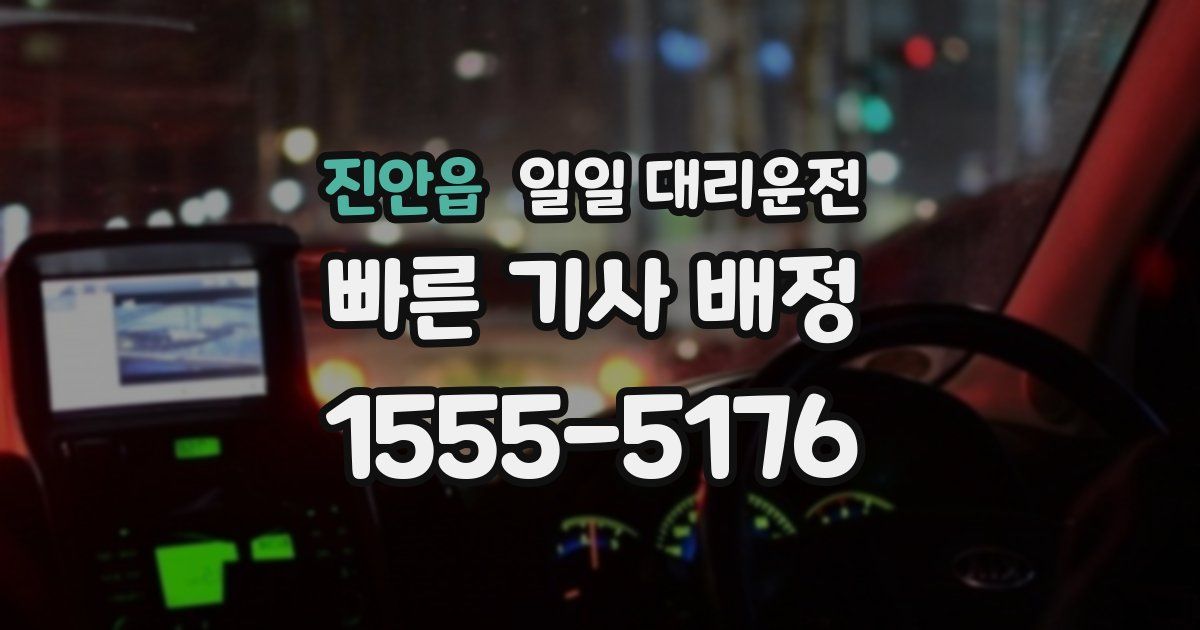 진안읍 일일 대리운전