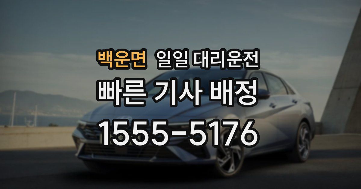 백운면 일일 대리운전