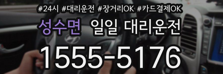 성수면 일일 대리운전