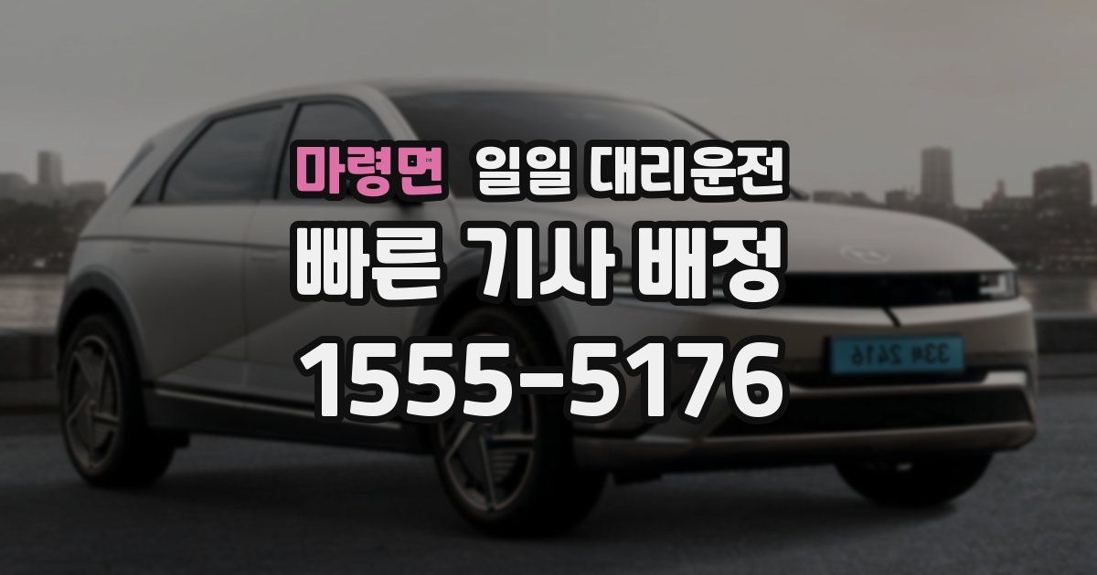 마령면 일일 대리운전