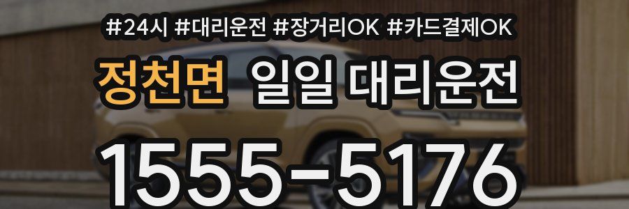 정천면 일일 대리운전