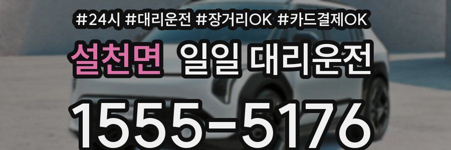 설천면 일일 대리운전