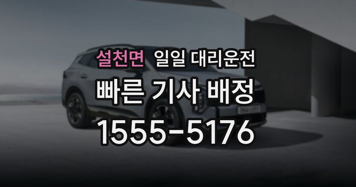 설천면 일일 대리운전