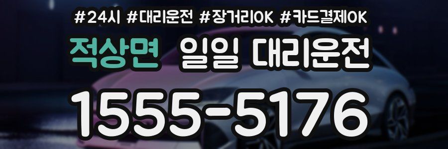 적상면 일일 대리운전
