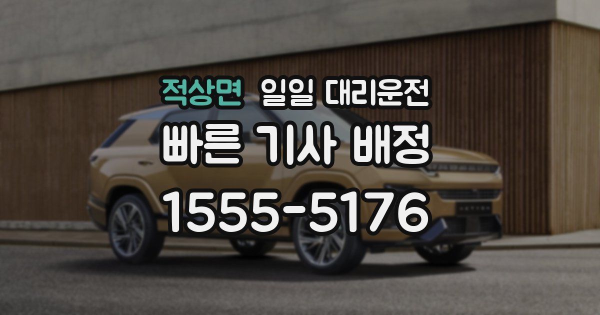적상면 일일 대리운전