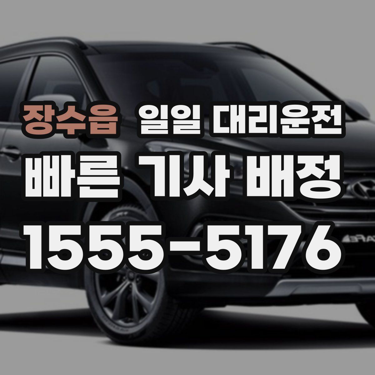 장수읍 일일 대리운전