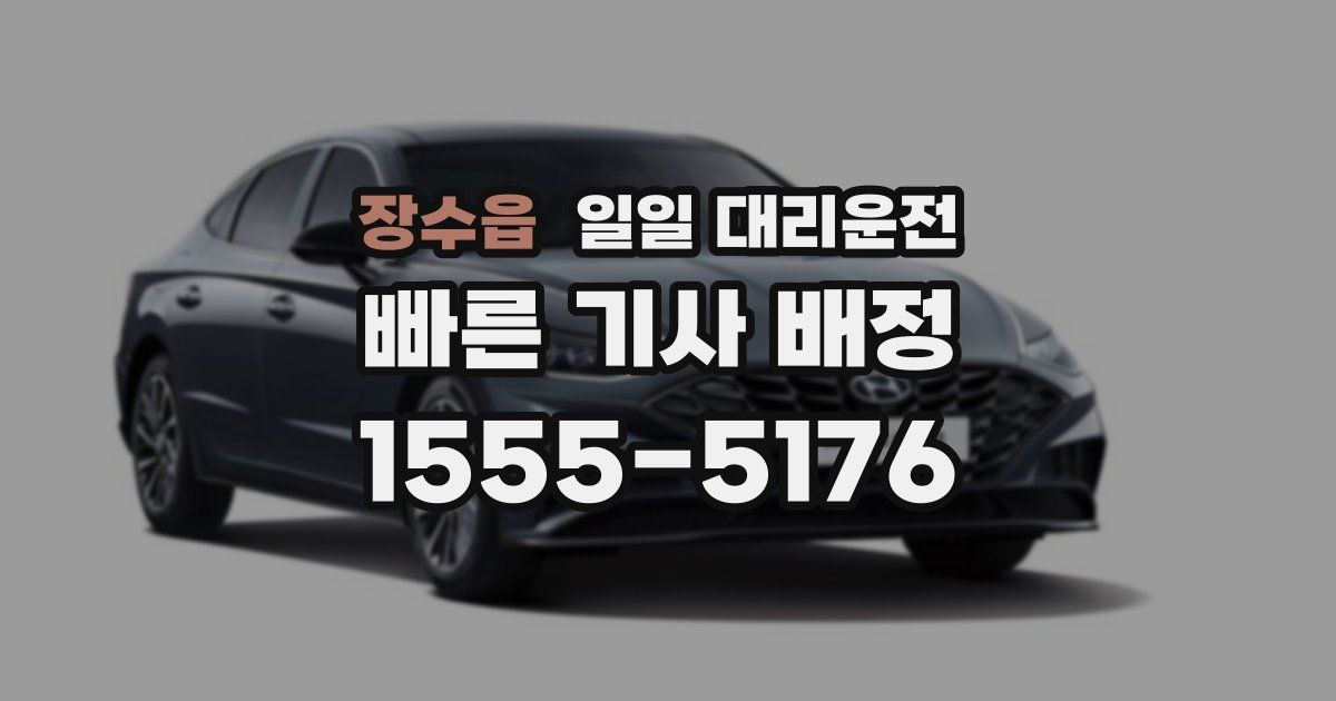 장수읍 일일 대리운전