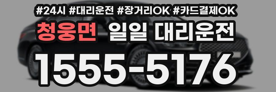 청웅면 일일 대리운전