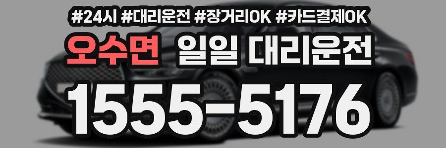 오수면 일일 대리운전