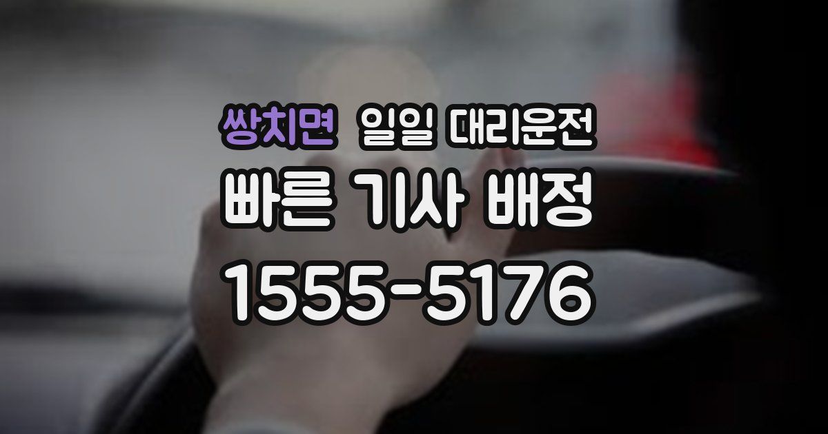 쌍치면 일일 대리운전