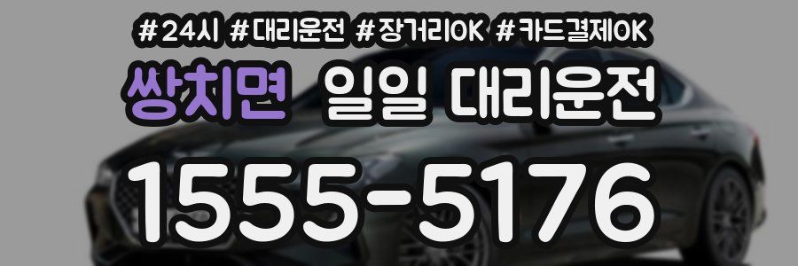 쌍치면 일일 대리운전
